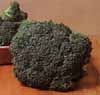 v_broccolihybprem.jpg
